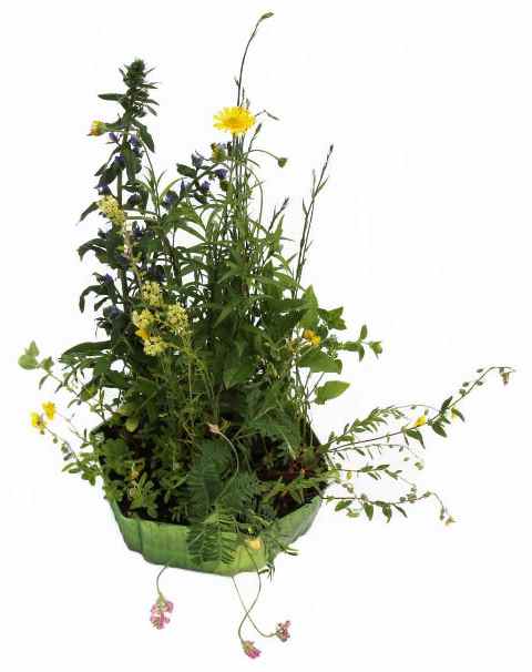 Sellana Honey Meadow Wildbienen-Ziegel